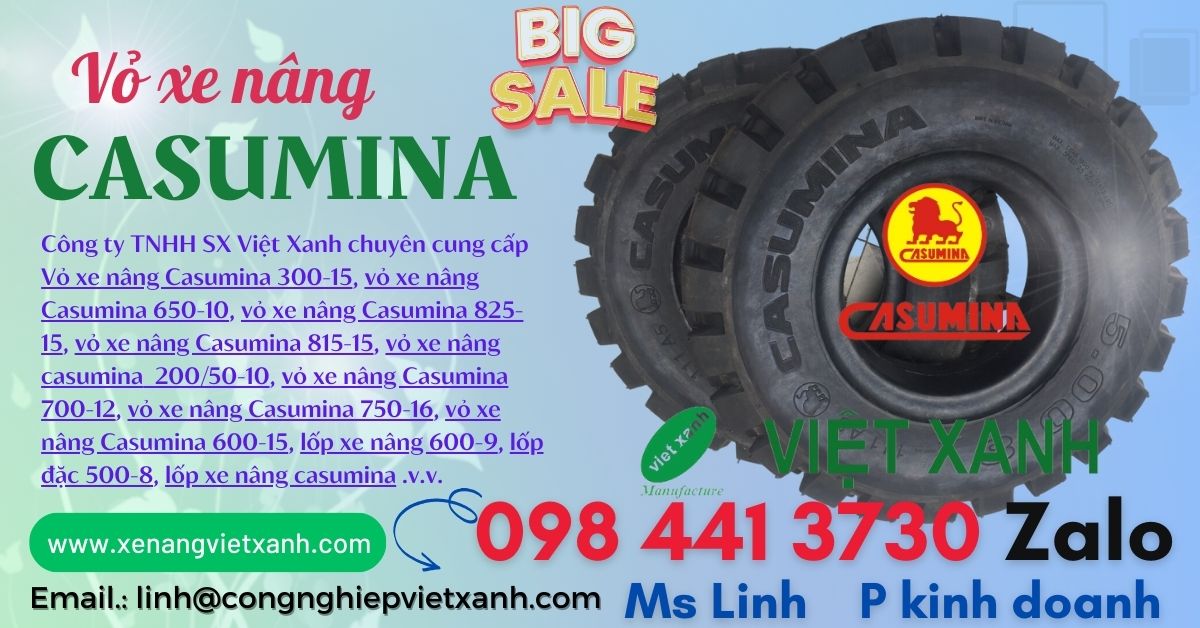 vo_xe_nang_casumina_viet_nam (2)