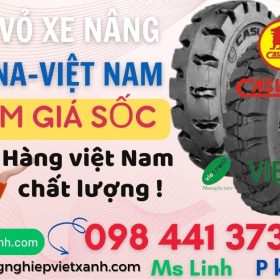 vo_xe_nang_casumina_viet_nam (3)