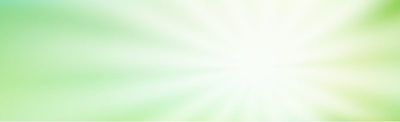 xe-nang-tay-nhap-khau-xenangtay-net